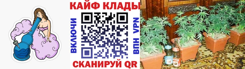 ГАШ Чапаевск