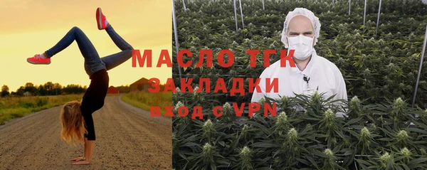 соль ск Михайлов