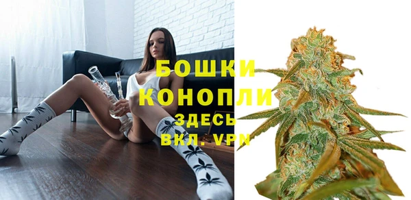 молекула духа Михайловка