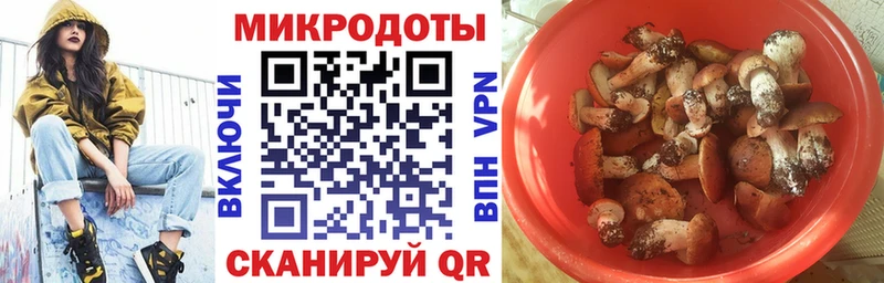 Псилоцибиновые грибы Cubensis  Чапаевск 