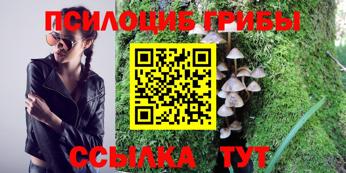 Галлюциногенные грибы Magic Shrooms  Псилоцибиновые грибы Psilocybine cubensis  Чапаевск  даркнет сайт  Вход с VPN 