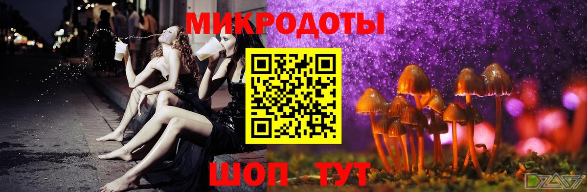 APVP Чапаевск